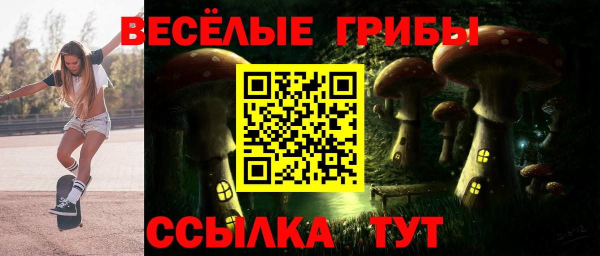 Галлюциногенные грибы Psilocybe Тюмень